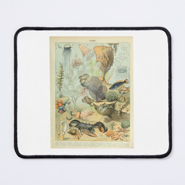 Item preview, Vintage Ocean Life Marine Biology Adolphe Millot designed and sold by TeeARTHY.