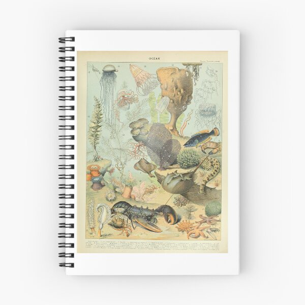 Item preview, Vintage Ocean Life Marine Biology Adolphe Millot  designed and sold by TeeARTHY.