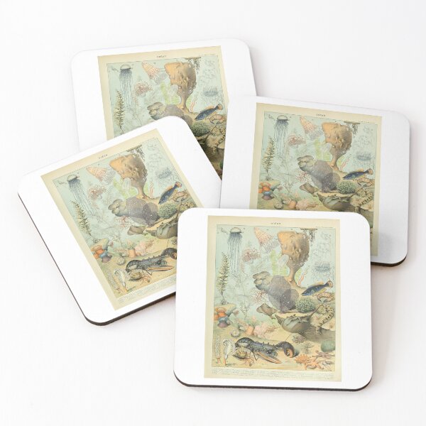 Item preview, Vintage Ocean Life Marine Biology Adolphe Millot  designed and sold by TeeARTHY.