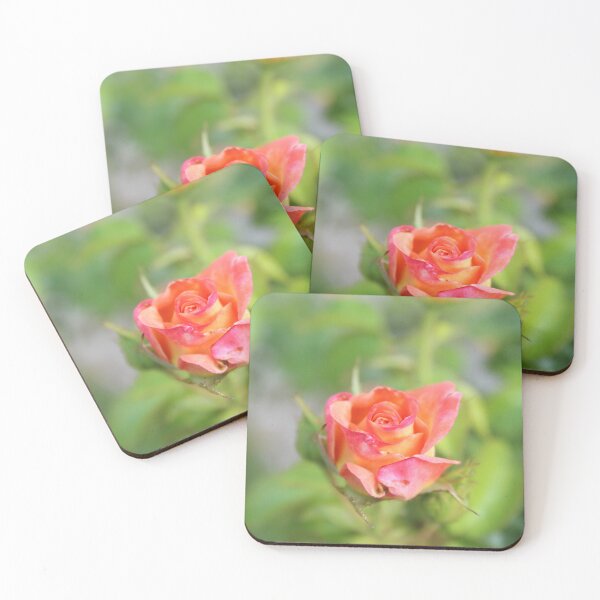 Item preview, Blossoming elegant rose macro - Soft flower photography designed and sold by Cha-s-lens.