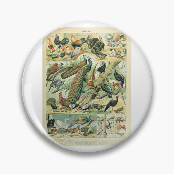 Item preview,  Vintage Birds Peacock And Fowl Adolphe Millot   designed and sold by TeeARTHY.