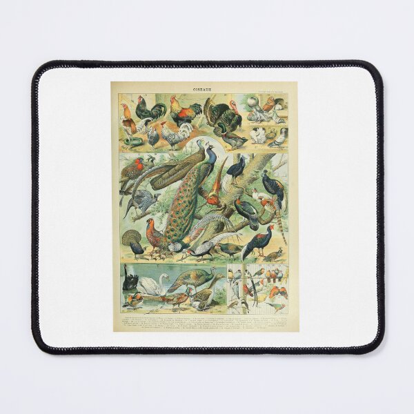 Item preview, Vintage Birds Peacock And Fowl Adolphe Millot designed and sold by TeeARTHY.