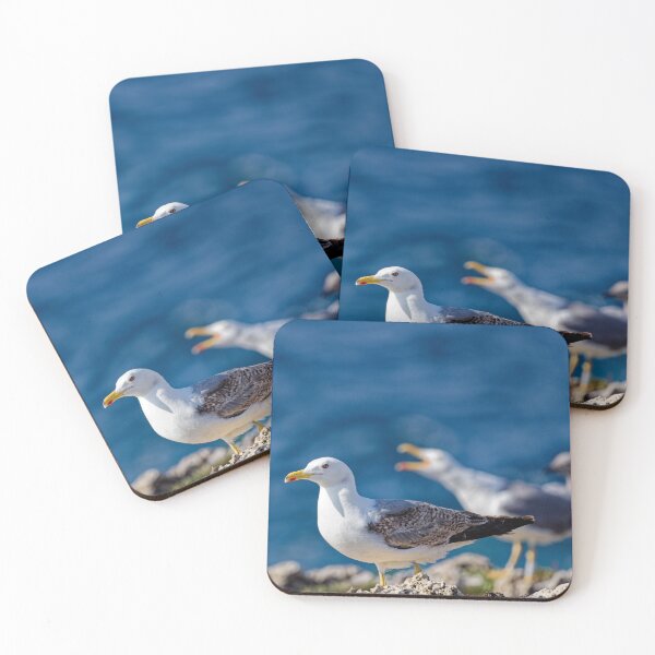 Item preview, Yellow-Legged Gulls in Spain (2) designed and sold by TomRomanPhotos.