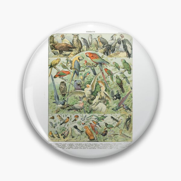 Item preview, Vintage Tropical Birds And Raptors Adolphe Millot Chart designed and sold by TeeARTHY.