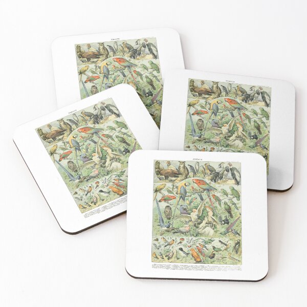 Item preview, Vintage Tropical Birds And Raptors Adolphe Millot Chart designed and sold by TeeARTHY.