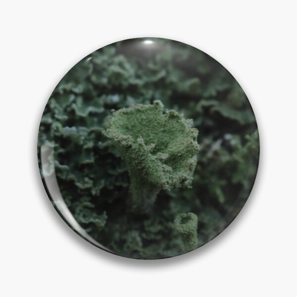 Artikelvorschau, Strukturierte Pixie-Cup-Flechte Cladonia Makro entworfen und verkauft von vikko-art.