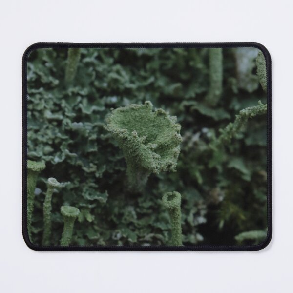 Item preview, Textured Pixie Cup Lichen Cladonia Macro designed and sold by vikko-art.
