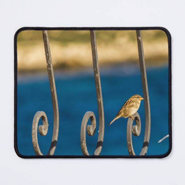 Item preview, Sparrow Perched on Decorative Metal Railing with Blue Water Background by the Coast designed and sold by Nmallia.