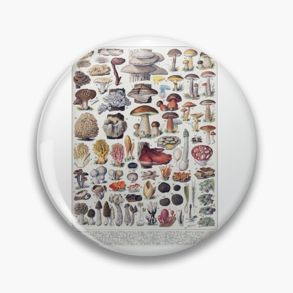 Item preview, Vintage French Mushroom Chart Champignons Adolphe Millot designed and sold by TeeARTHY.