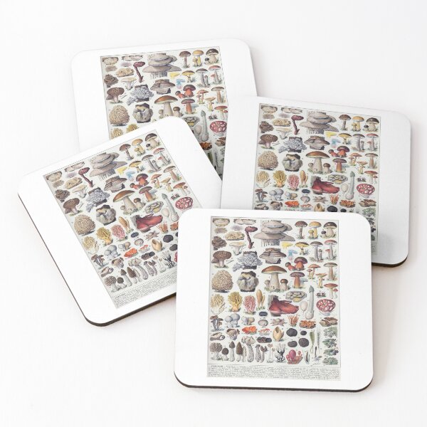Item preview, Vintage French Mushroom Chart Champignons Adolphe Millot designed and sold by TeeARTHY.