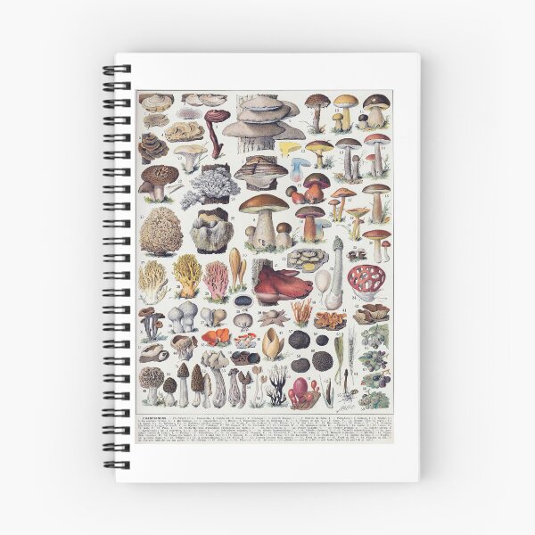 Item preview, Vintage French Mushroom Chart Champignons Adolphe Millot designed and sold by TeeARTHY.
