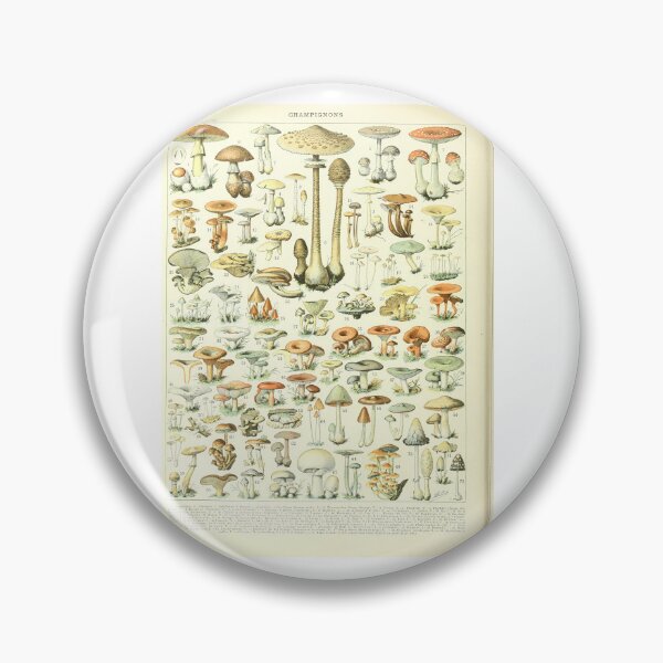 Item preview, Vintage French Mushroom Chart Champignons Adolphe Millot designed and sold by TeeARTHY.