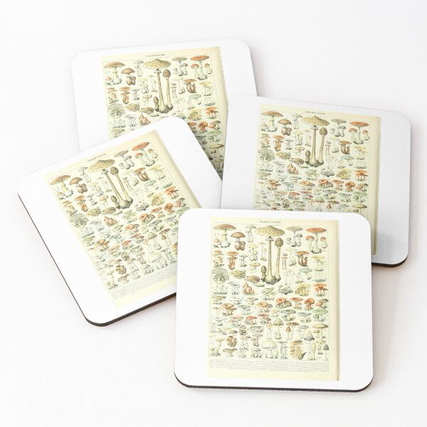 Item preview, Vintage French Mushroom Chart Champignons Adolphe Millot designed and sold by TeeARTHY.