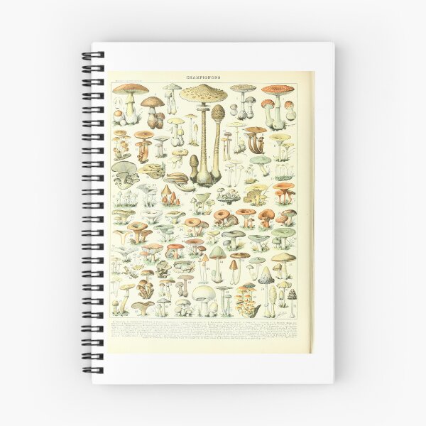 Item preview, Vintage French Mushroom Chart Champignons Adolphe Millot designed and sold by TeeARTHY.