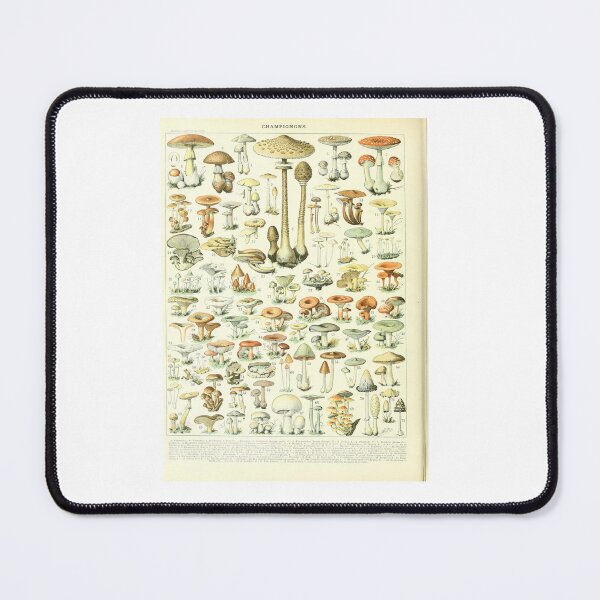 Item preview, Vintage French Mushroom Chart Champignons Adolphe Millot designed and sold by TeeARTHY.