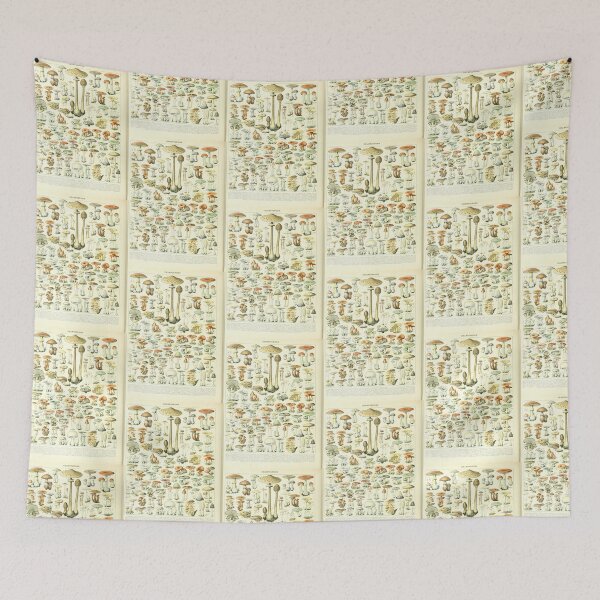 Item preview, Vintage French Mushroom Chart Champignons Adolphe Millot designed and sold by TeeARTHY.