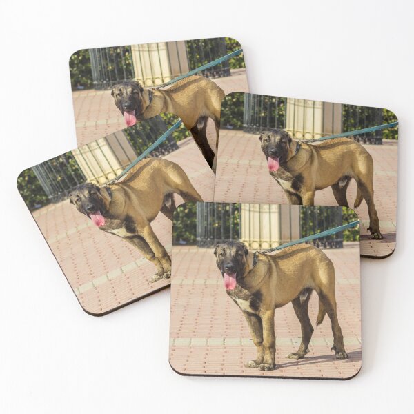 Item preview, Brown Dog On Leash Standing On Paved Path With Tongue Out During Sunny Walk designed and sold by Nmallia.