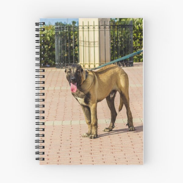 Item preview, Brown Dog On Leash Standing On Paved Path With Tongue Out During Sunny Walk designed and sold by Nmallia.