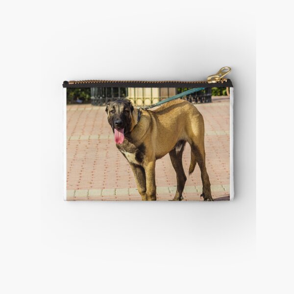 Item preview, Brown Dog On Leash Standing On Paved Path With Tongue Out During Sunny Walk designed and sold by Nmallia.