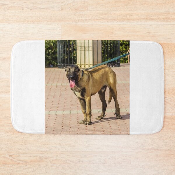 Item preview, Brown Dog On Leash Standing On Paved Path With Tongue Out During Sunny Walk designed and sold by Nmallia.