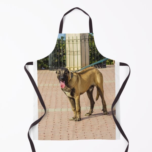 Item preview, Brown Dog On Leash Standing On Paved Path With Tongue Out During Sunny Walk designed and sold by Nmallia.
