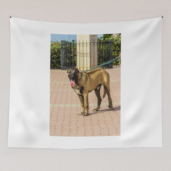 Item preview, Brown Dog On Leash Standing On Paved Path With Tongue Out During Sunny Walk designed and sold by Nmallia.