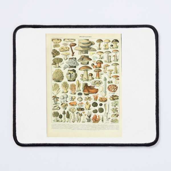 Item preview, Vintage Champignons Mushroom Botanical Identification   designed and sold by TeeARTHY.