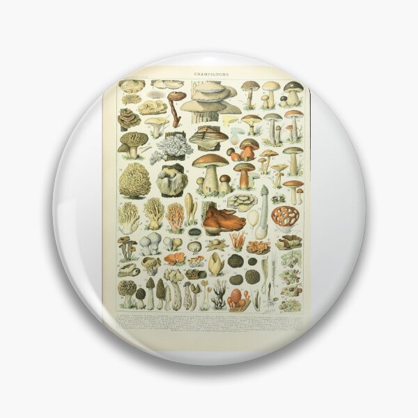 Item preview, Vintage Champignons Mushroom Botanical Identification   designed and sold by TeeARTHY.