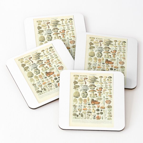 Item preview, Vintage Champignons Mushroom Botanical Identification   designed and sold by TeeARTHY.