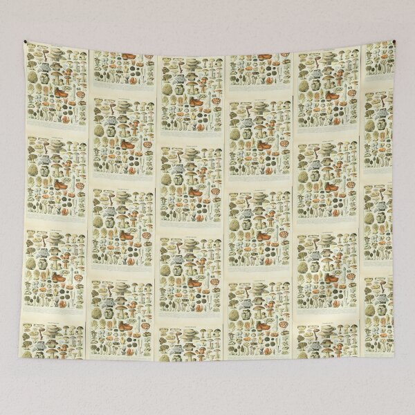 Item preview, Vintage Champignons Mushroom Botanical Identification   designed and sold by TeeARTHY.