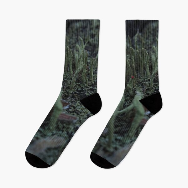 Item preview, British Soldier Lichen with Red Tip Forest Macro designed and sold by vikko-art.