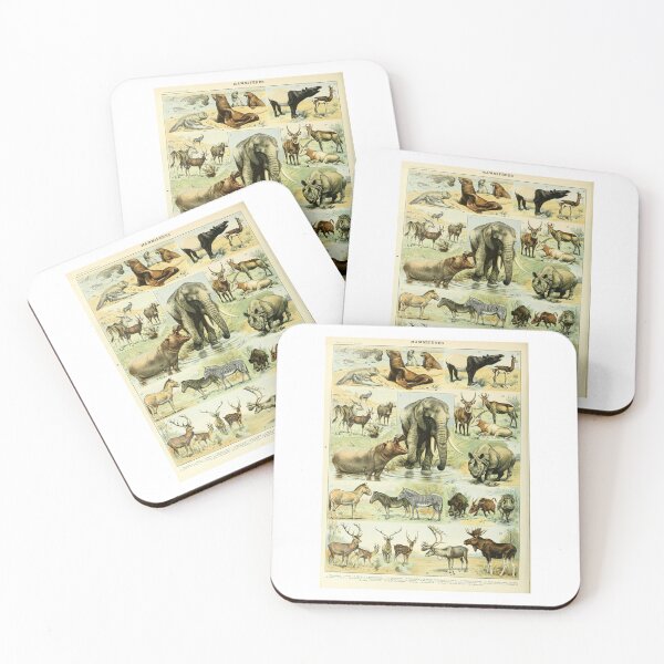 Item preview, Vintage Mammals Mammifères Animal Educational Poster Adolphe Millot designed and sold by TeeARTHY.