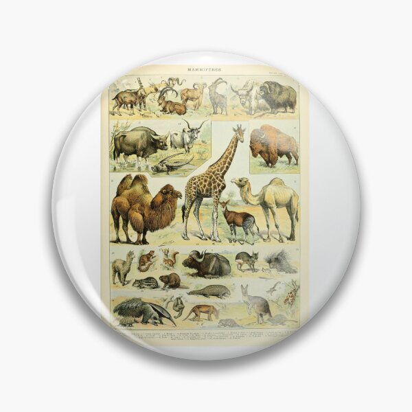 Item preview, Vintage Mammals Chart Giraffe Camel Wildlife   designed and sold by TeeARTHY.