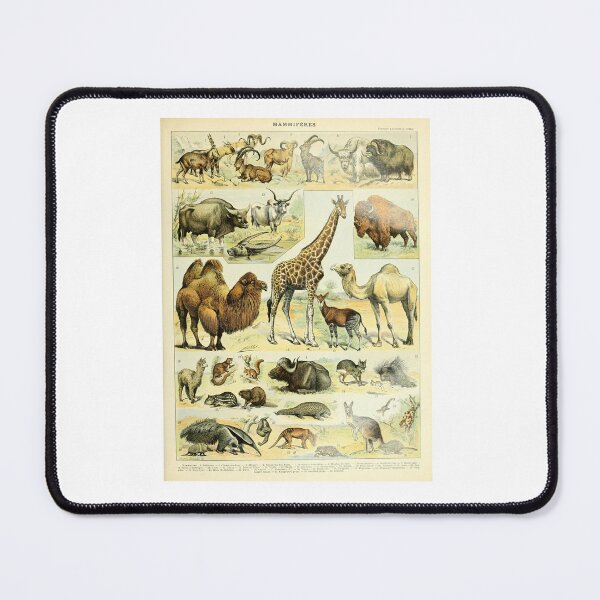 Item preview, Vintage Mammals Chart Giraffe Camel Wildlife   designed and sold by TeeARTHY.