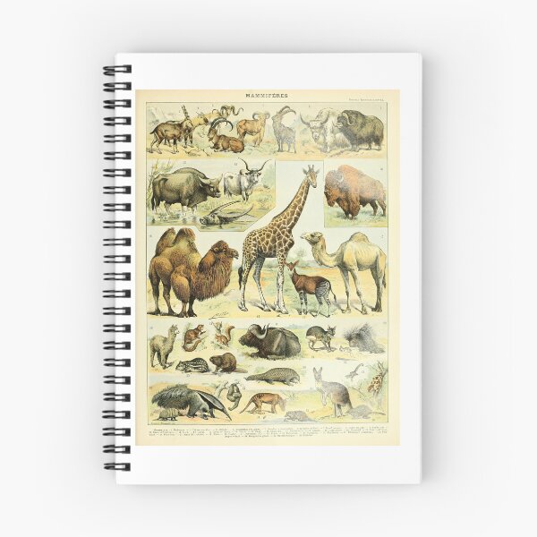 Item preview, Vintage Mammals Chart Giraffe Camel Wildlife   designed and sold by TeeARTHY.