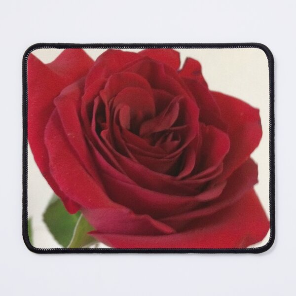 Item preview, Red Rose, no filter photograph designed and sold by GiSilver.