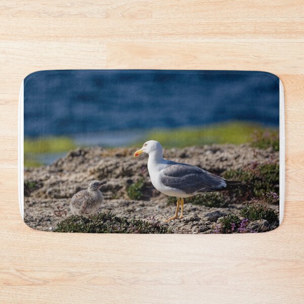 Item preview, Yellow-Legged Gulls in Spain (3) designed and sold by TomRomanPhotos.