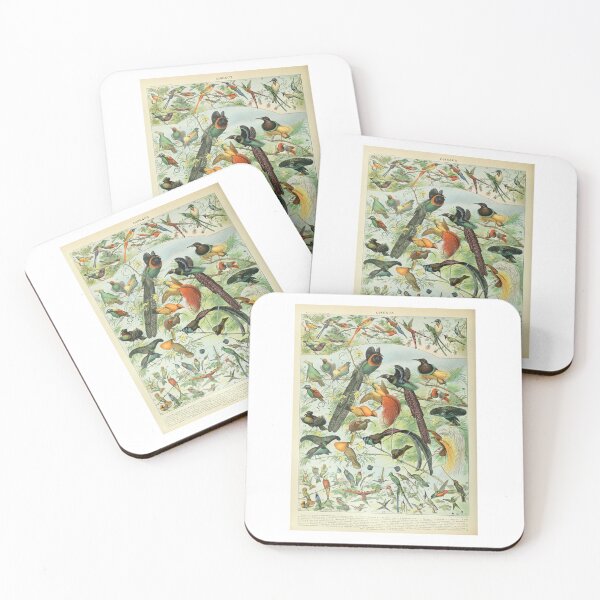 Item preview, Vintage Birds Of Paradise Tropical Birds Poster Adolphe Millot designed and sold by TeeARTHY.