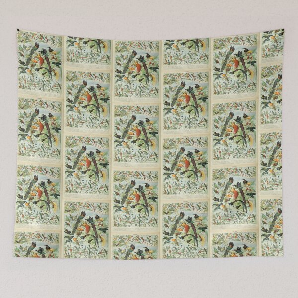 Item preview, Vintage Birds Of Paradise Tropical Birds Poster Adolphe Millot designed and sold by TeeARTHY.