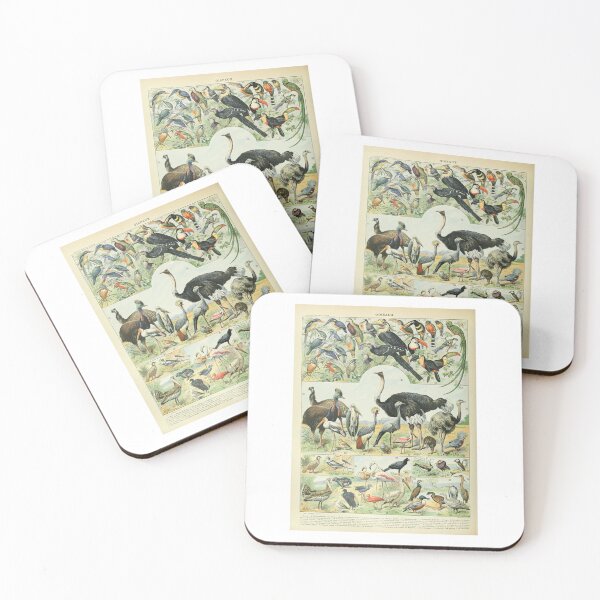 Item preview, Vintage Ostrich Birds Educational Poster Adolphe Millot designed and sold by TeeARTHY.