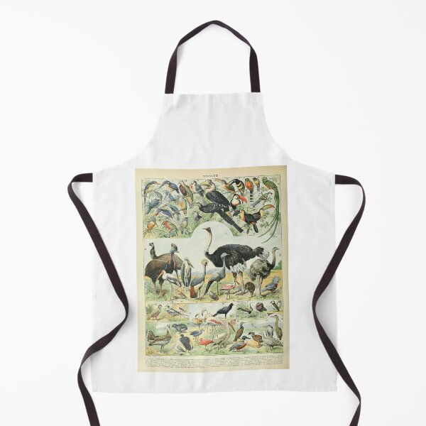 Item preview, Vintage Ostrich Birds Educational Poster Adolphe Millot designed and sold by TeeARTHY.