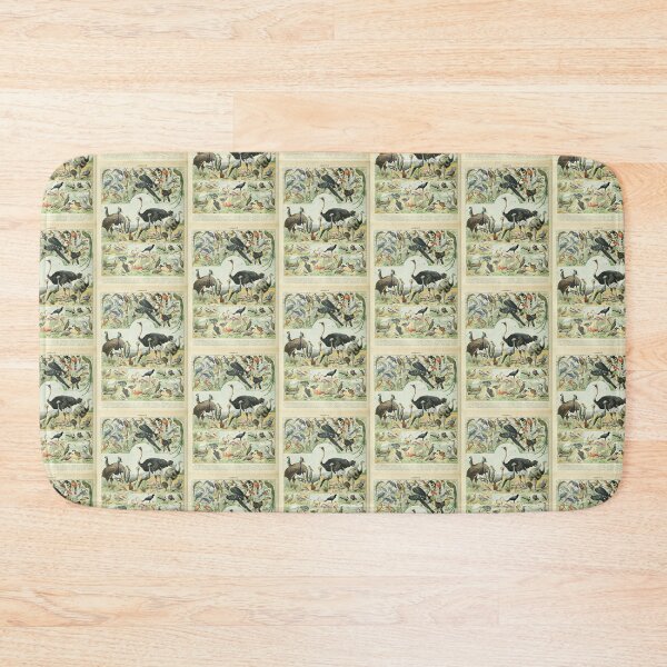 Item preview, Vintage Ostrich Birds Educational Poster Adolphe Millot designed and sold by TeeARTHY.