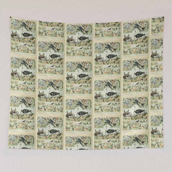 Item preview, Vintage Ostrich Birds Educational Poster Adolphe Millot designed and sold by TeeARTHY.