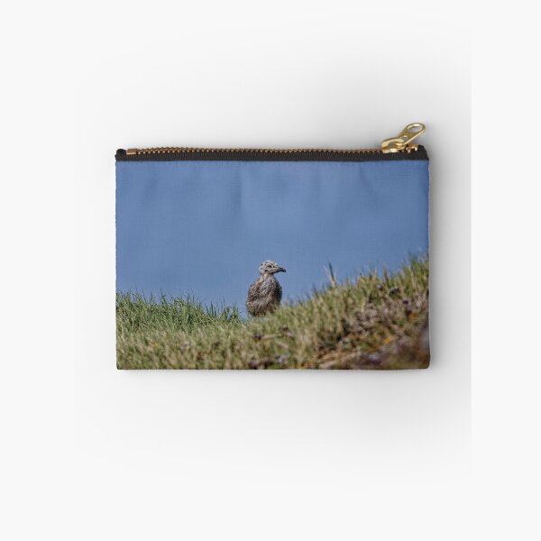 Item preview, Yellow-Legged Gulls in Spain (4) designed and sold by TomRomanPhotos.