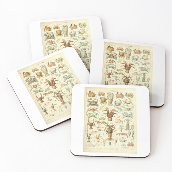 Item preview, Vintage Crustaceans Lobster Crab Marine Life Poster Adolphe Millot designed and sold by TeeARTHY.