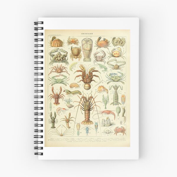 Item preview, Vintage Crustaceans Lobster Crab Marine Life Poster Adolphe Millot designed and sold by TeeARTHY.