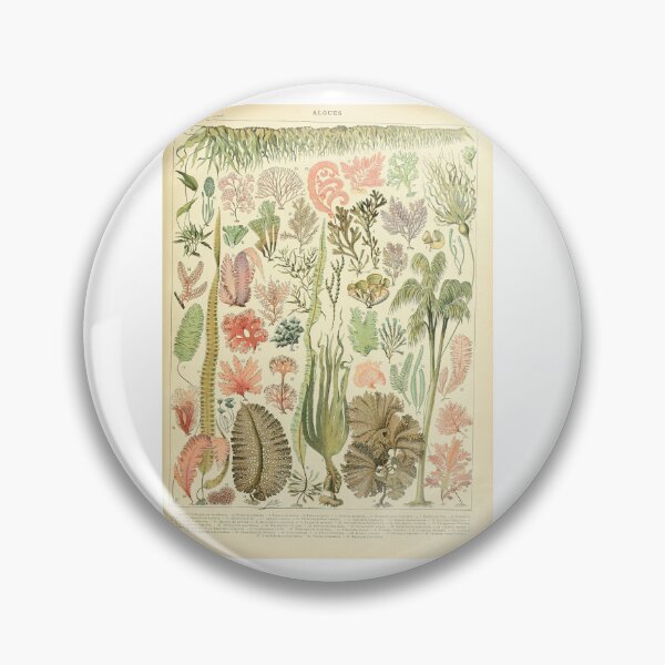 Item preview, Vintage Seaweed Marine Botanical Algae Educational designed and sold by TeeARTHY.