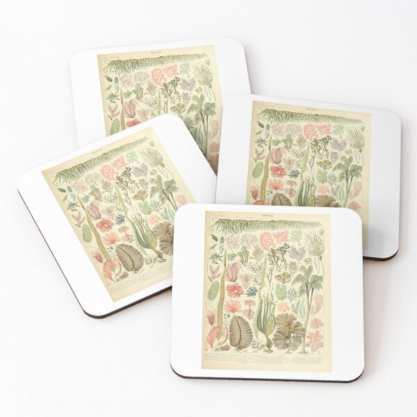 Item preview, Vintage Seaweed Marine Botanical Algae Educational designed and sold by TeeARTHY.