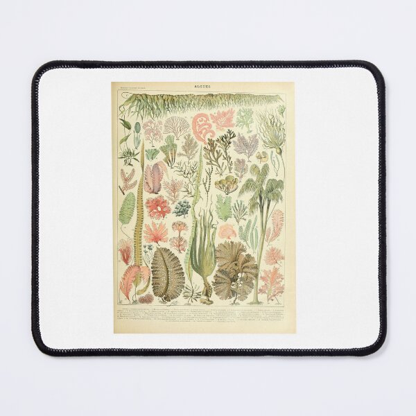 Item preview, Vintage Seaweed Marine Botanical Algae Educational designed and sold by TeeARTHY.