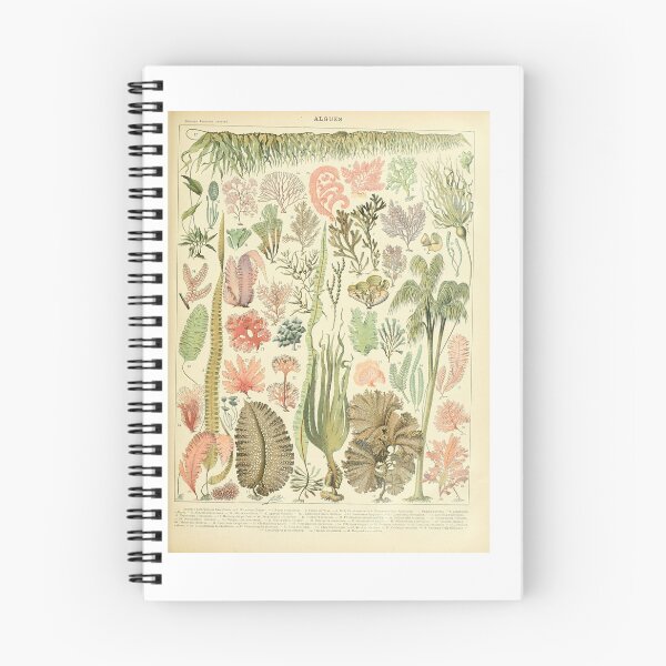 Item preview, Vintage Seaweed Marine Botanical Algae Educational designed and sold by TeeARTHY.